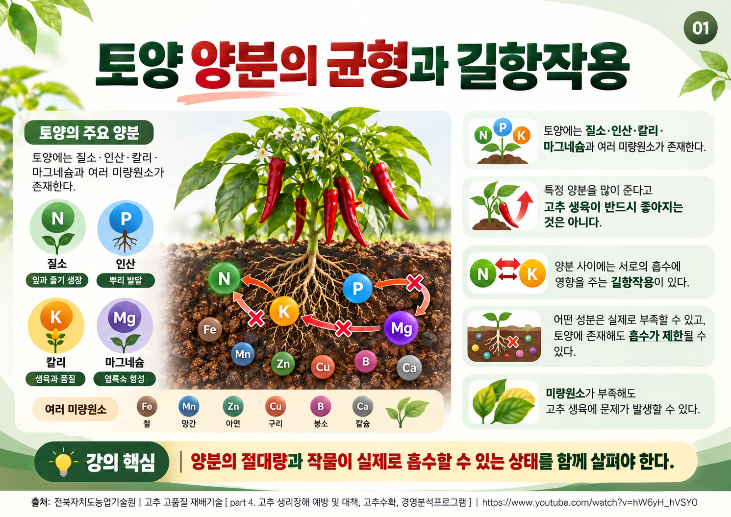 01_토양_양분_균형과_길항작용.png