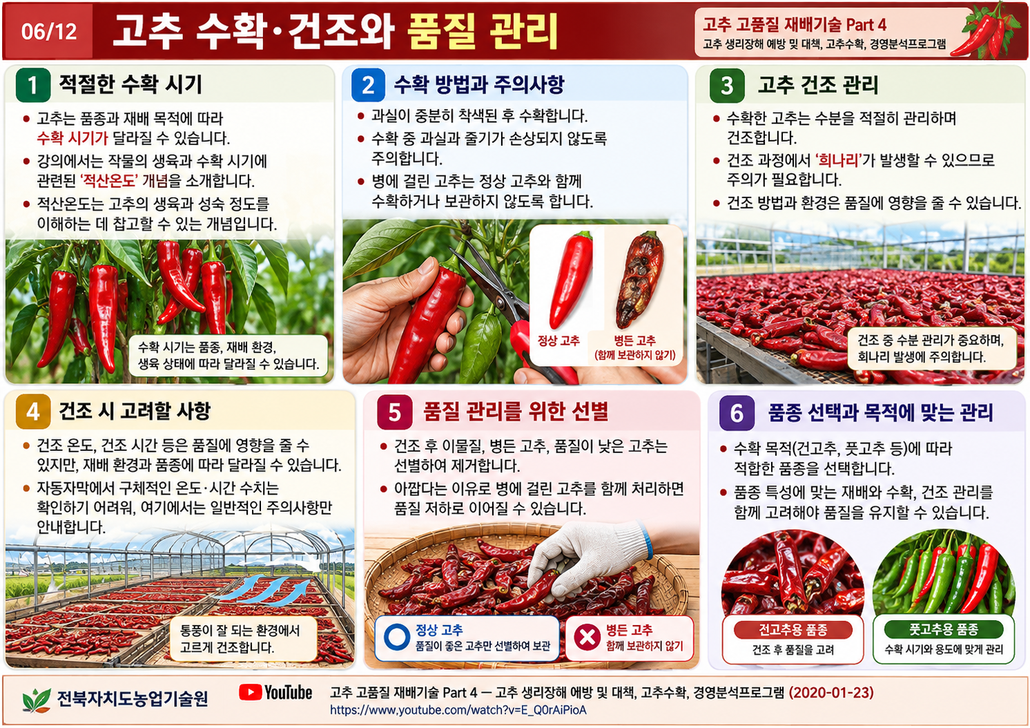 02_질소_인산_칼리의_역할과_추비관리.png