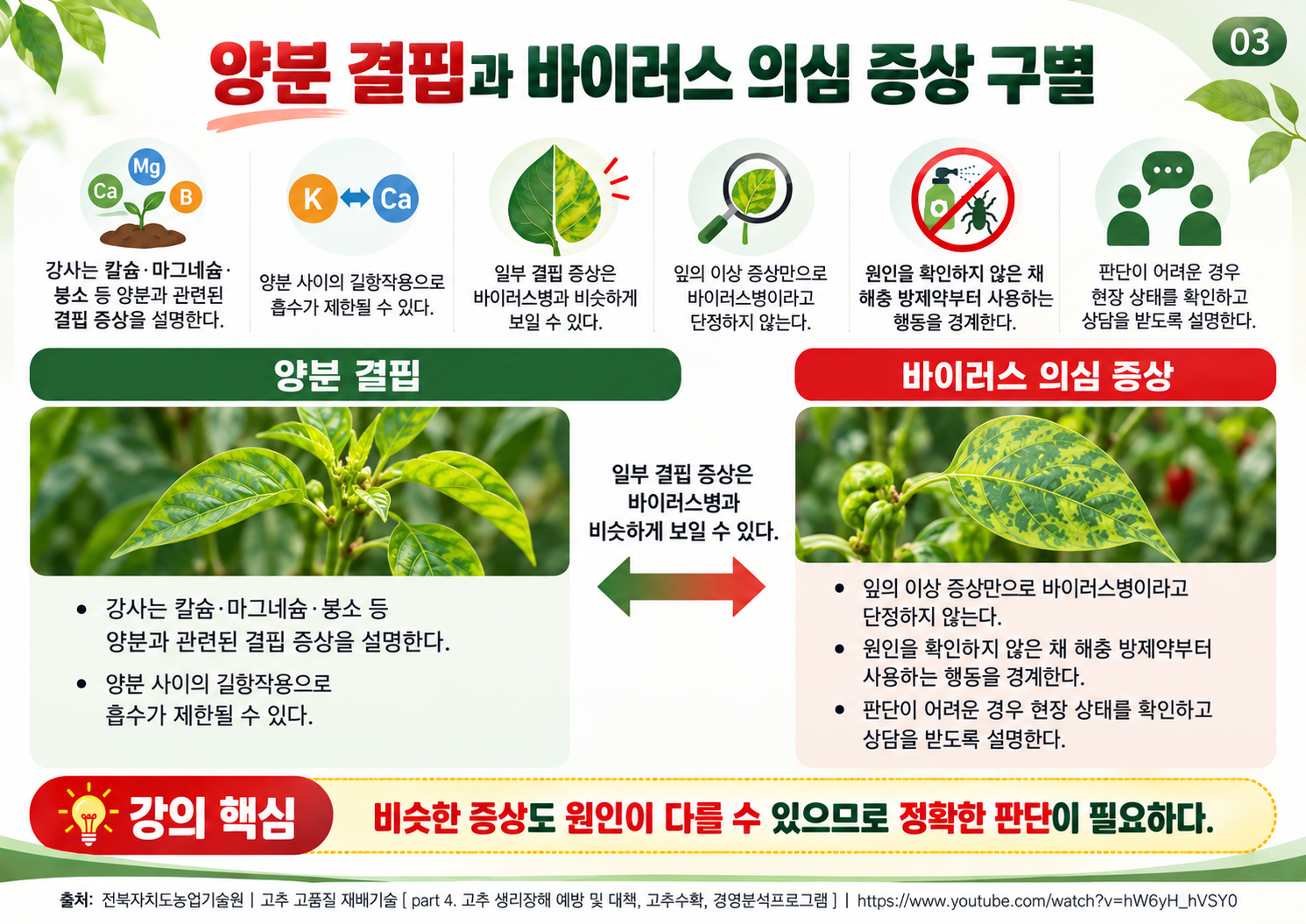 03_양분결핍과_바이러스_의심증상_구별.png