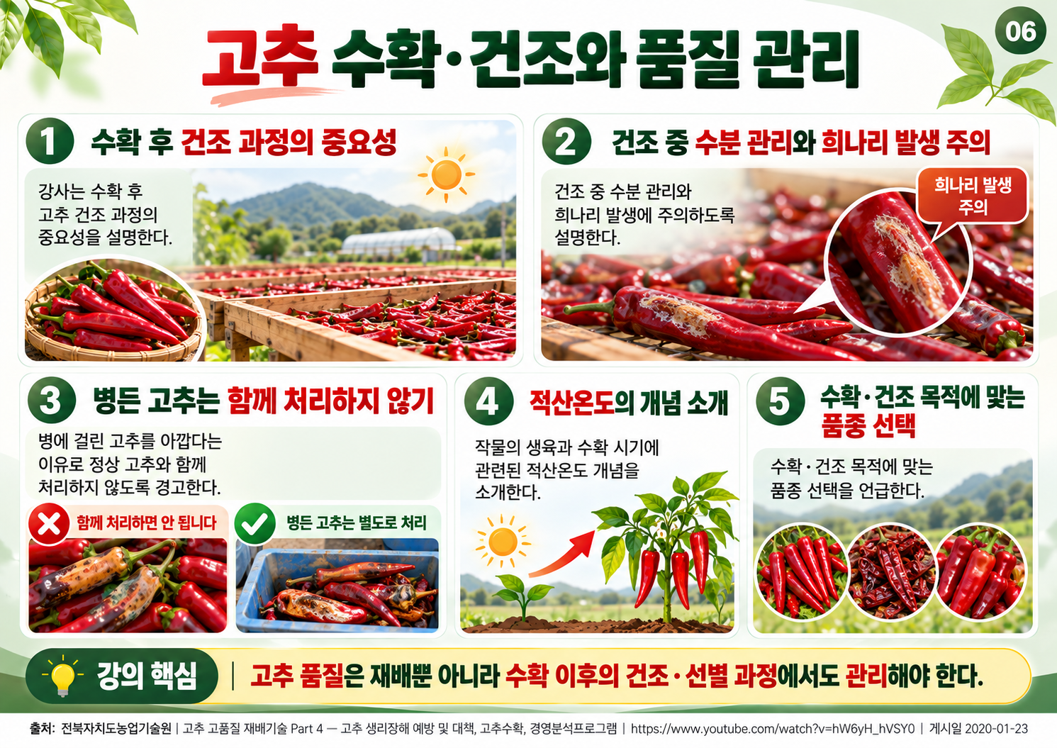 06_고추_수확_건조와_품질관리.png
