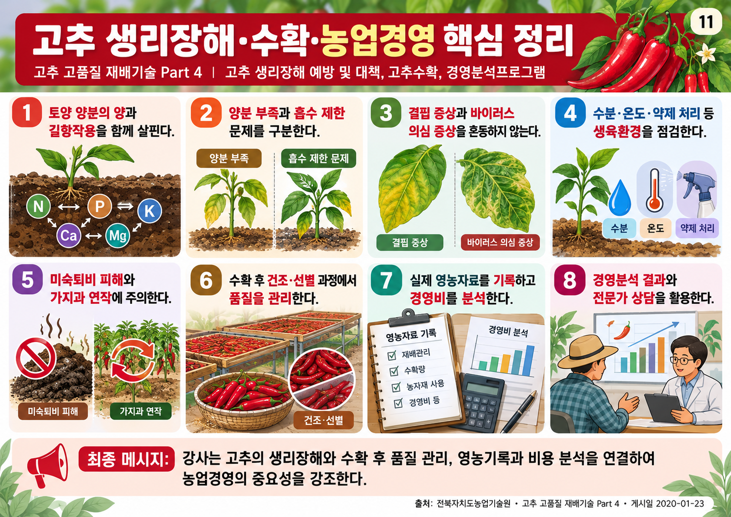 11_고추_생리장해_수확_경영분석_전체요약.png