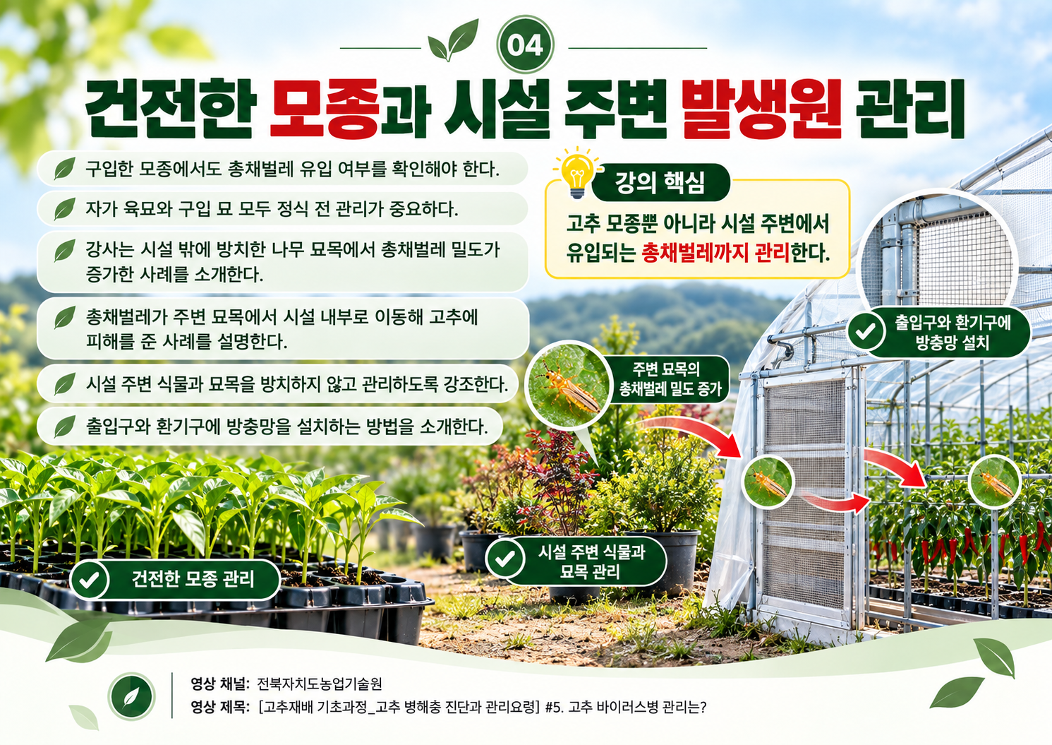 04_건전한_모종과_시설주변_관리.png