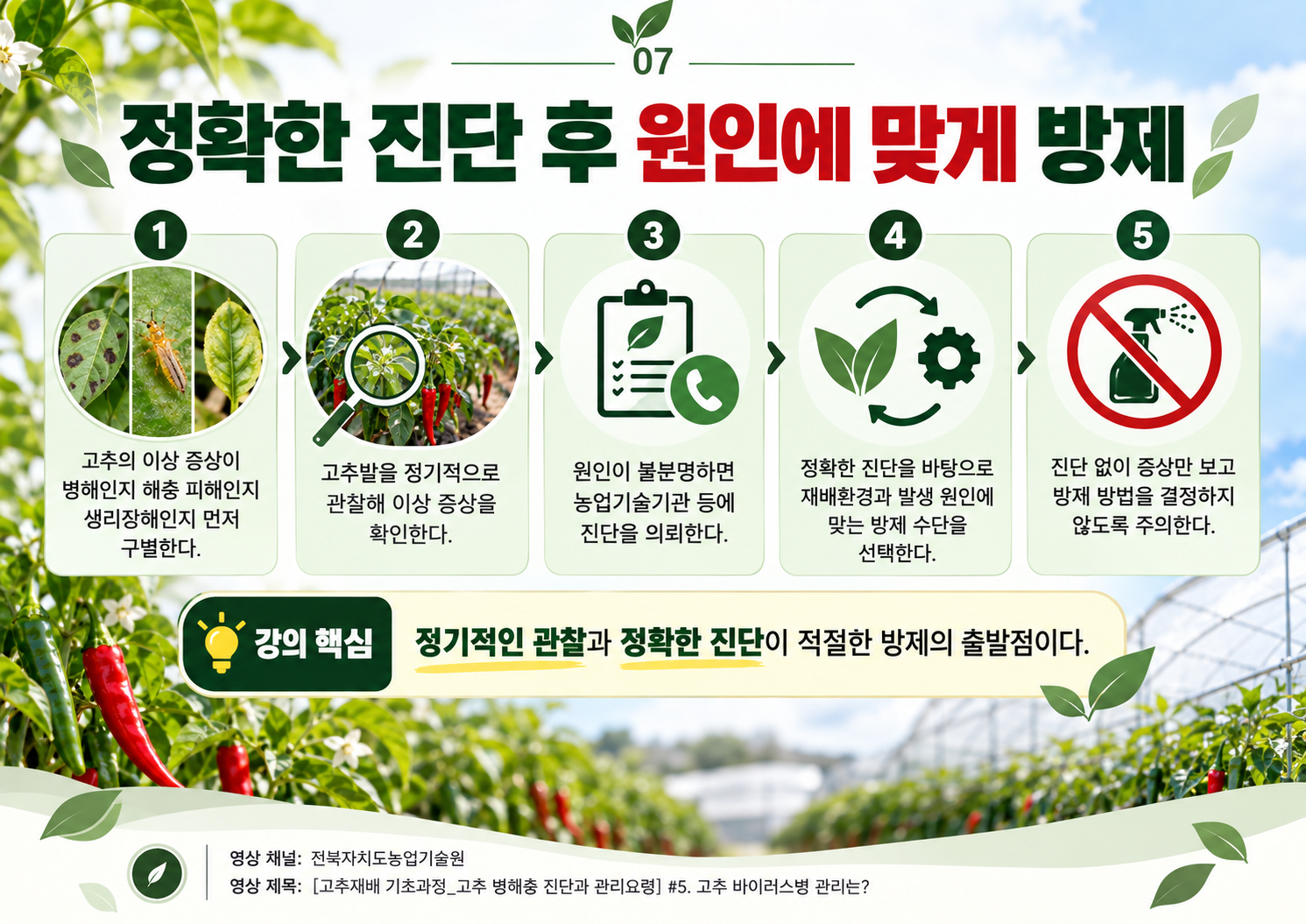 07_정확한_진단후_원인별_방제.png