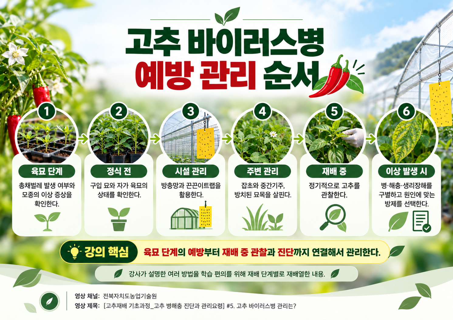 08_고추_바이러스병_예방관리_순서.png