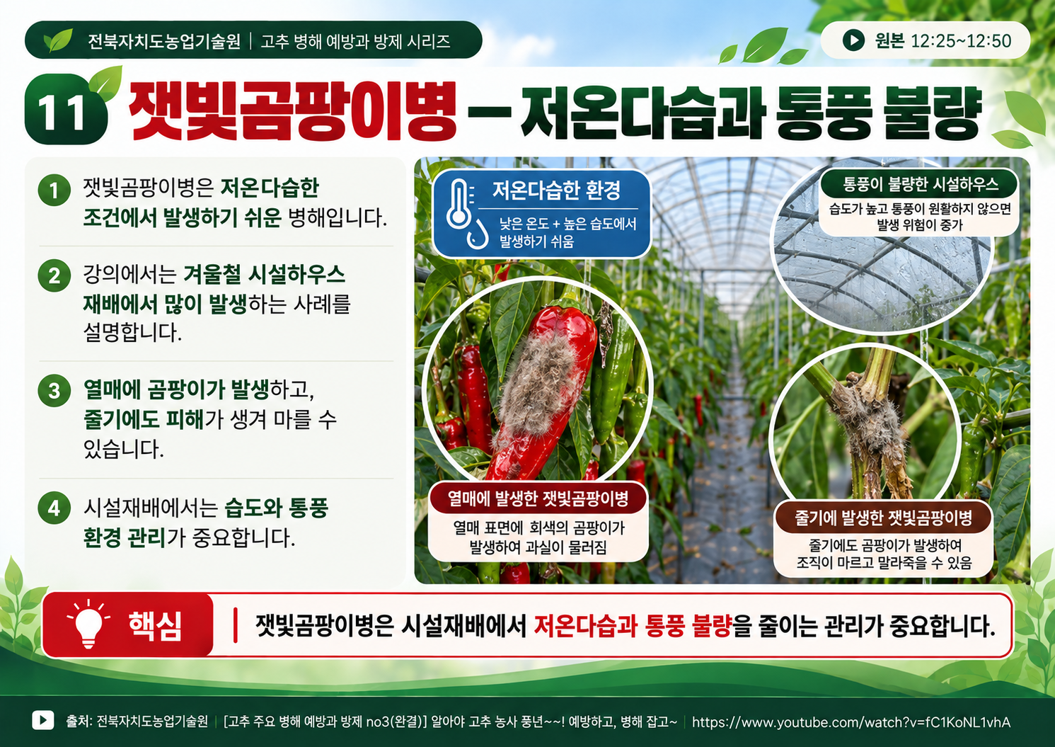 11_잿빛곰팡이병_저온다습_통풍.png