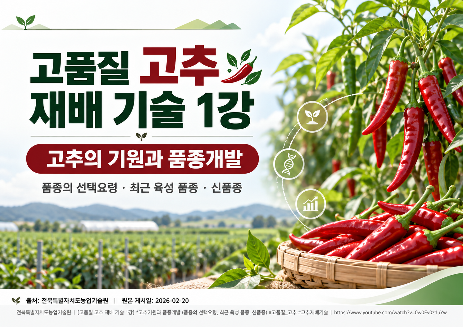 00_표지.png