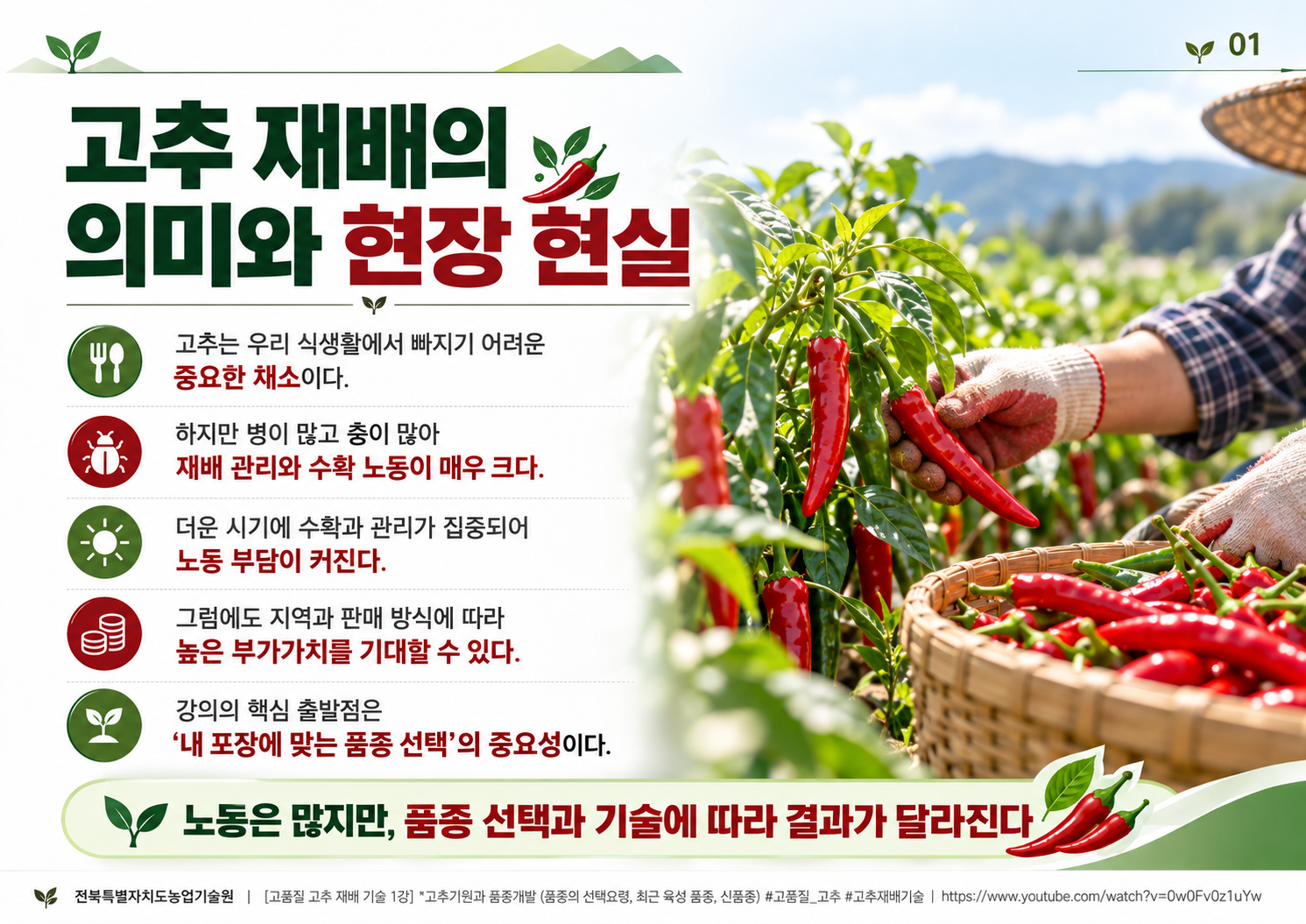 01_고추농사와_품종_선택.png