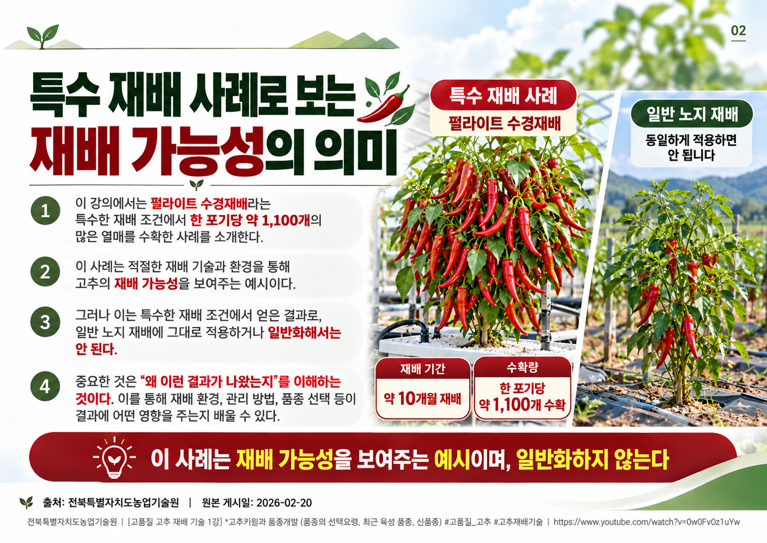 02_특수_수경재배_수확_사례.png