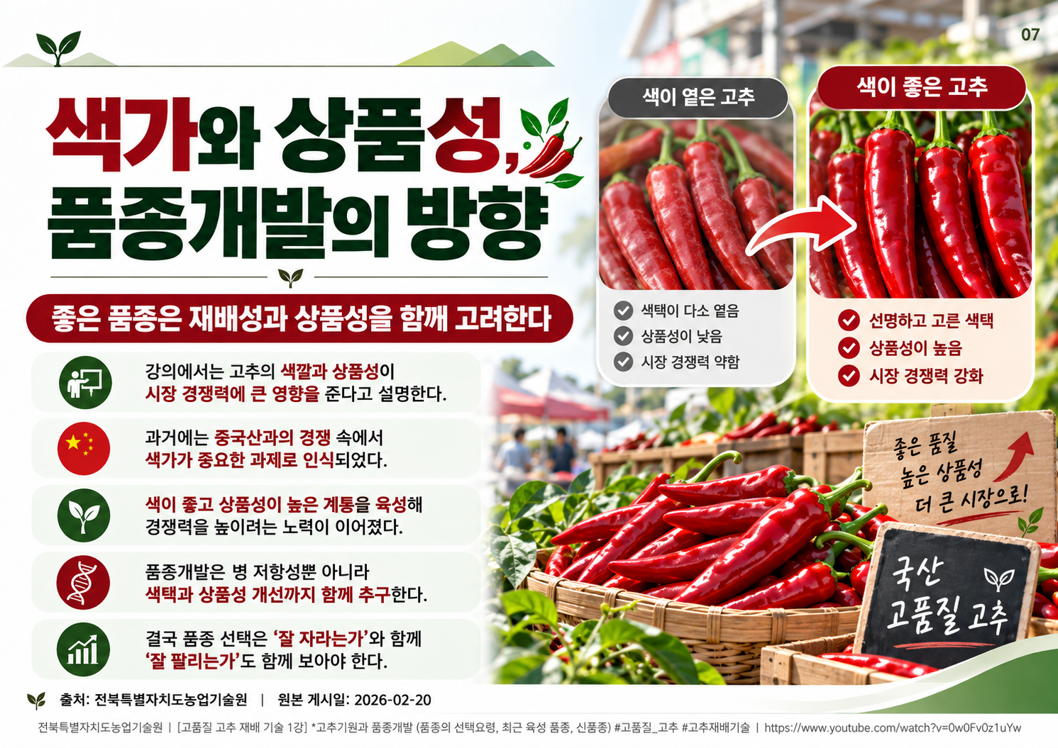 07_고추_색가와_상품성.png