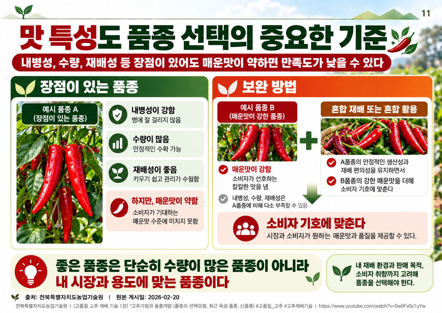 11_내병성과_매운맛의_균형.png