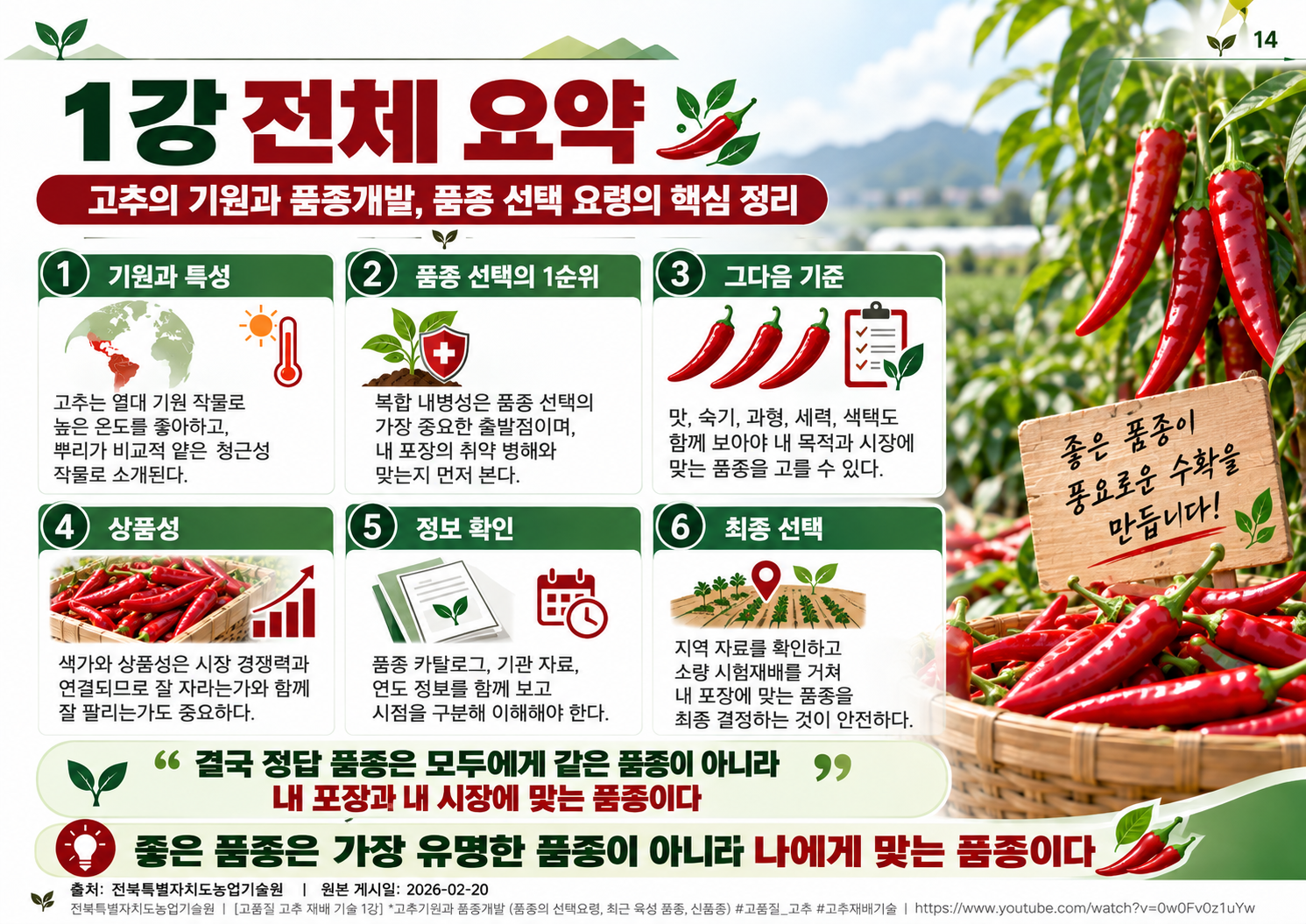 14_전체요약.png