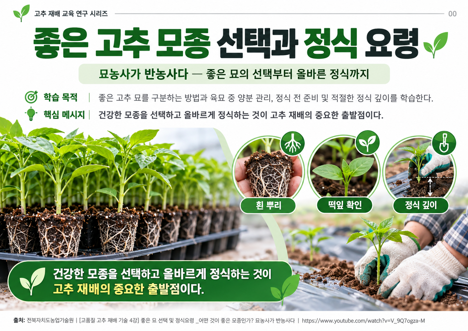 00_표지_좋은묘선택과정식.png