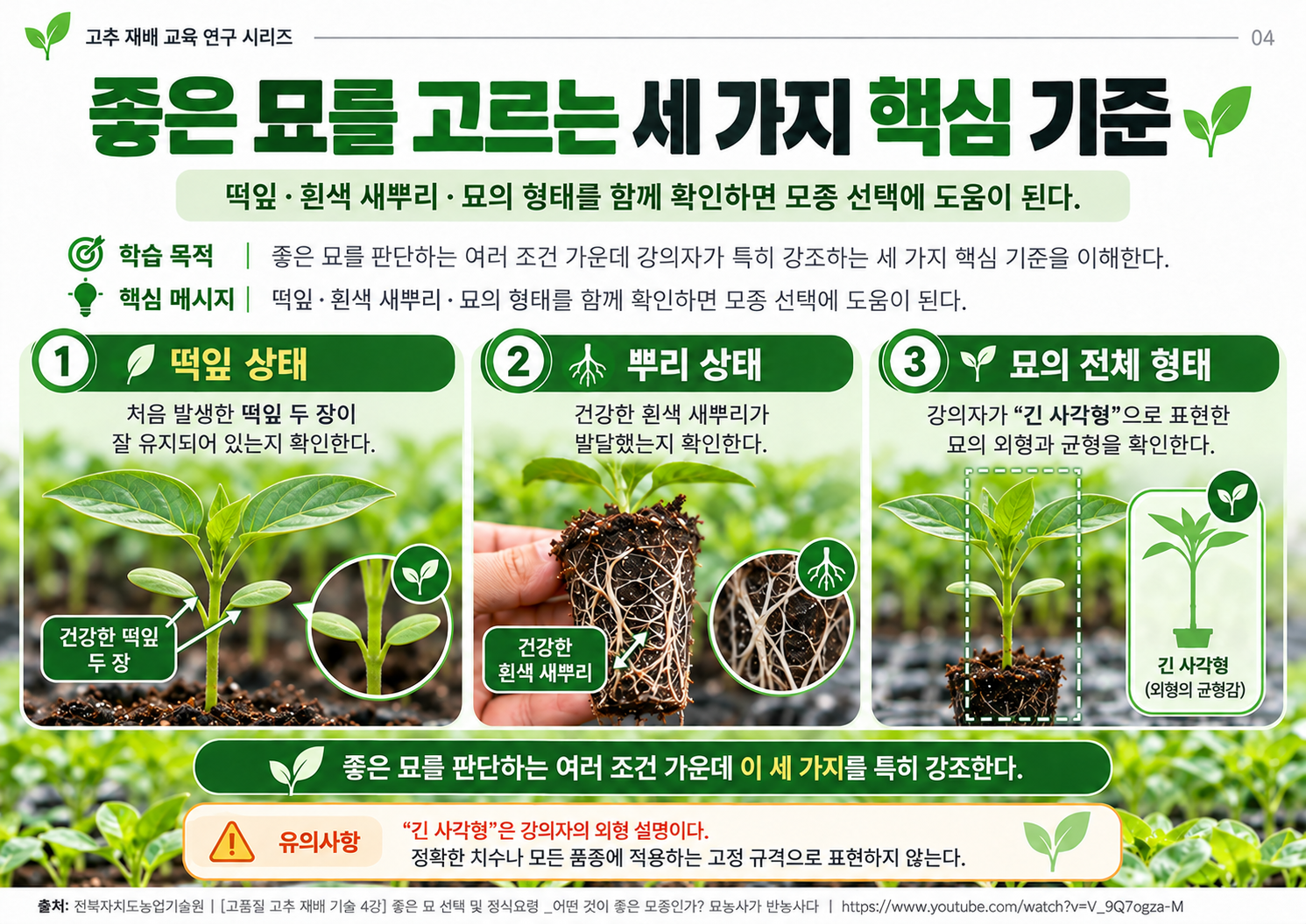 04_좋은묘선택_세가지기준.png