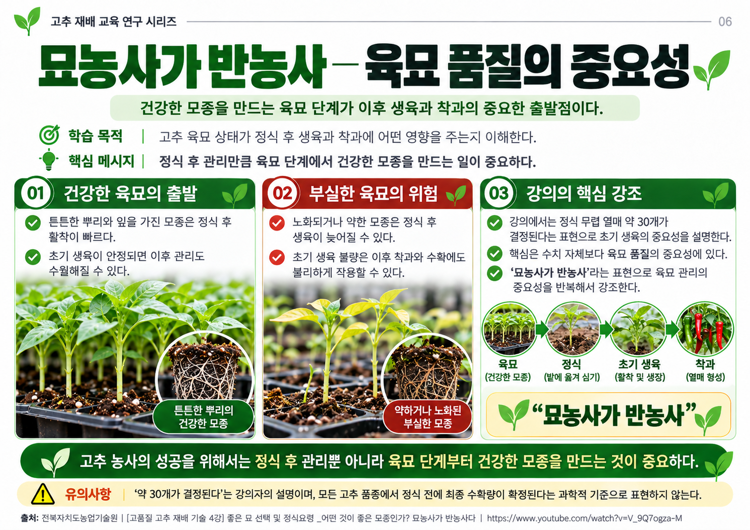 06_묘농사가반농사_육묘품질.png