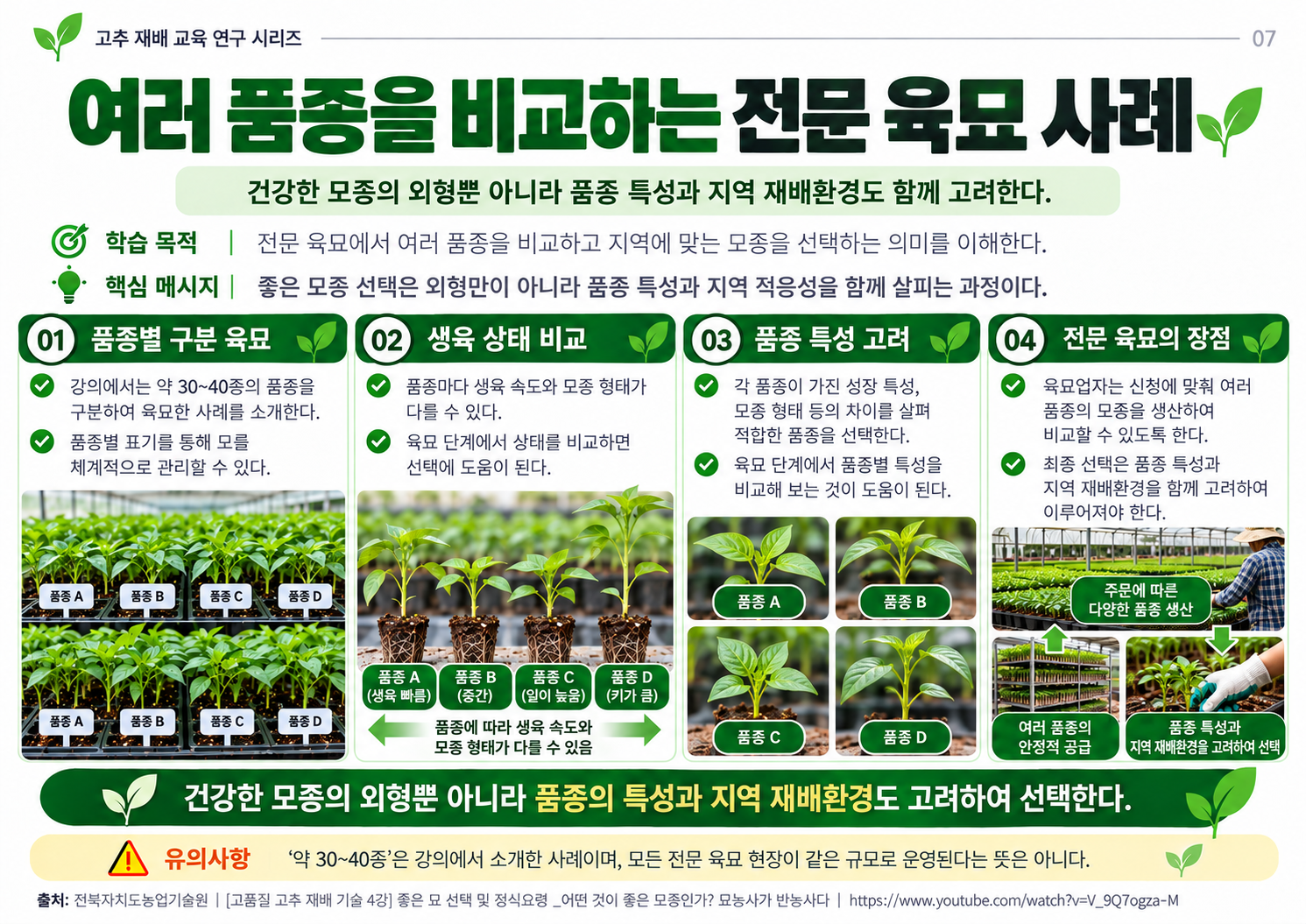 07_전문육묘_품종비교.png