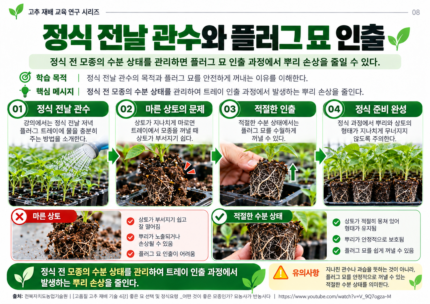 08_정식전날관수_플러그인출.png