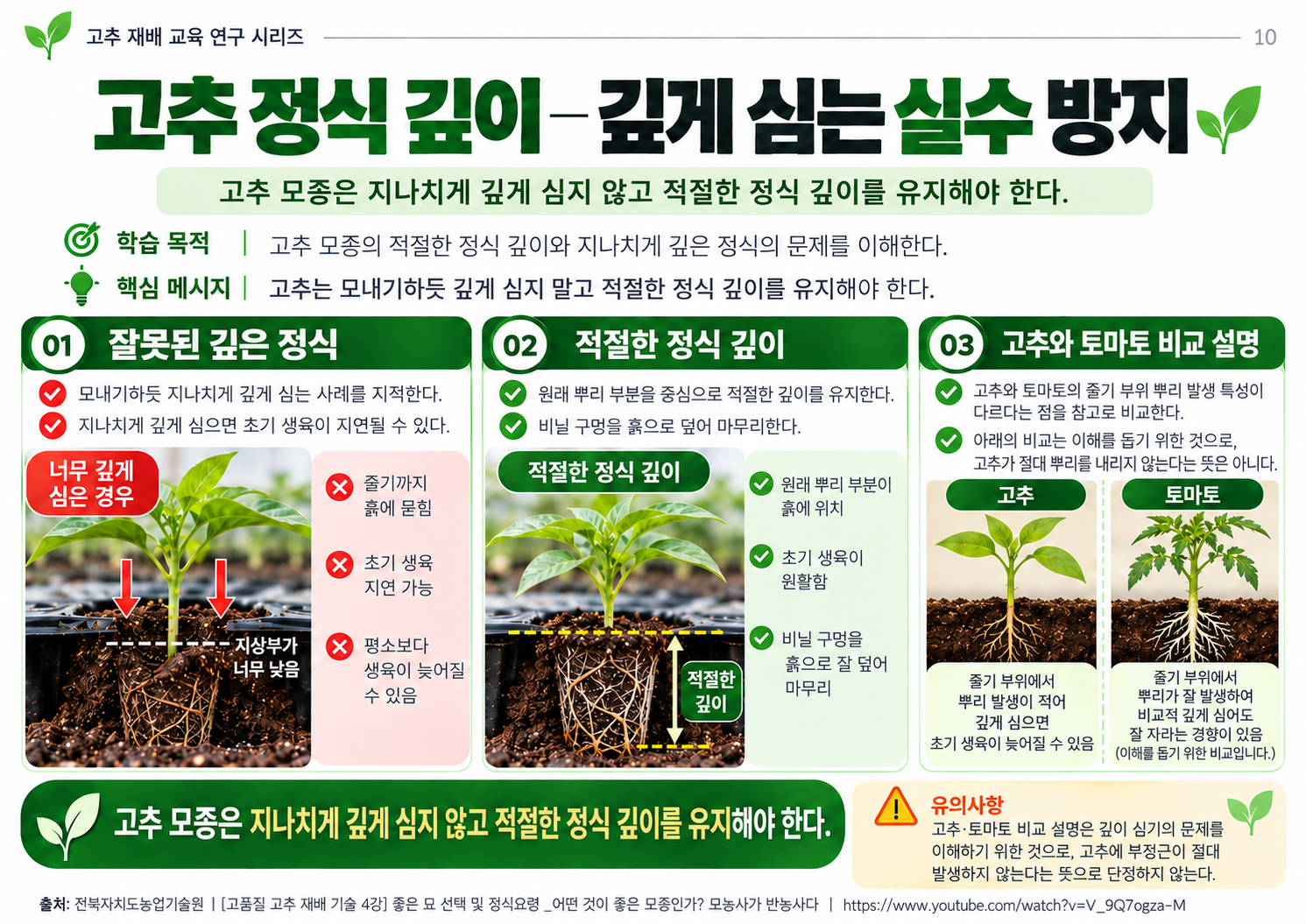 10_정식깊이_깊게심는실수방지.png