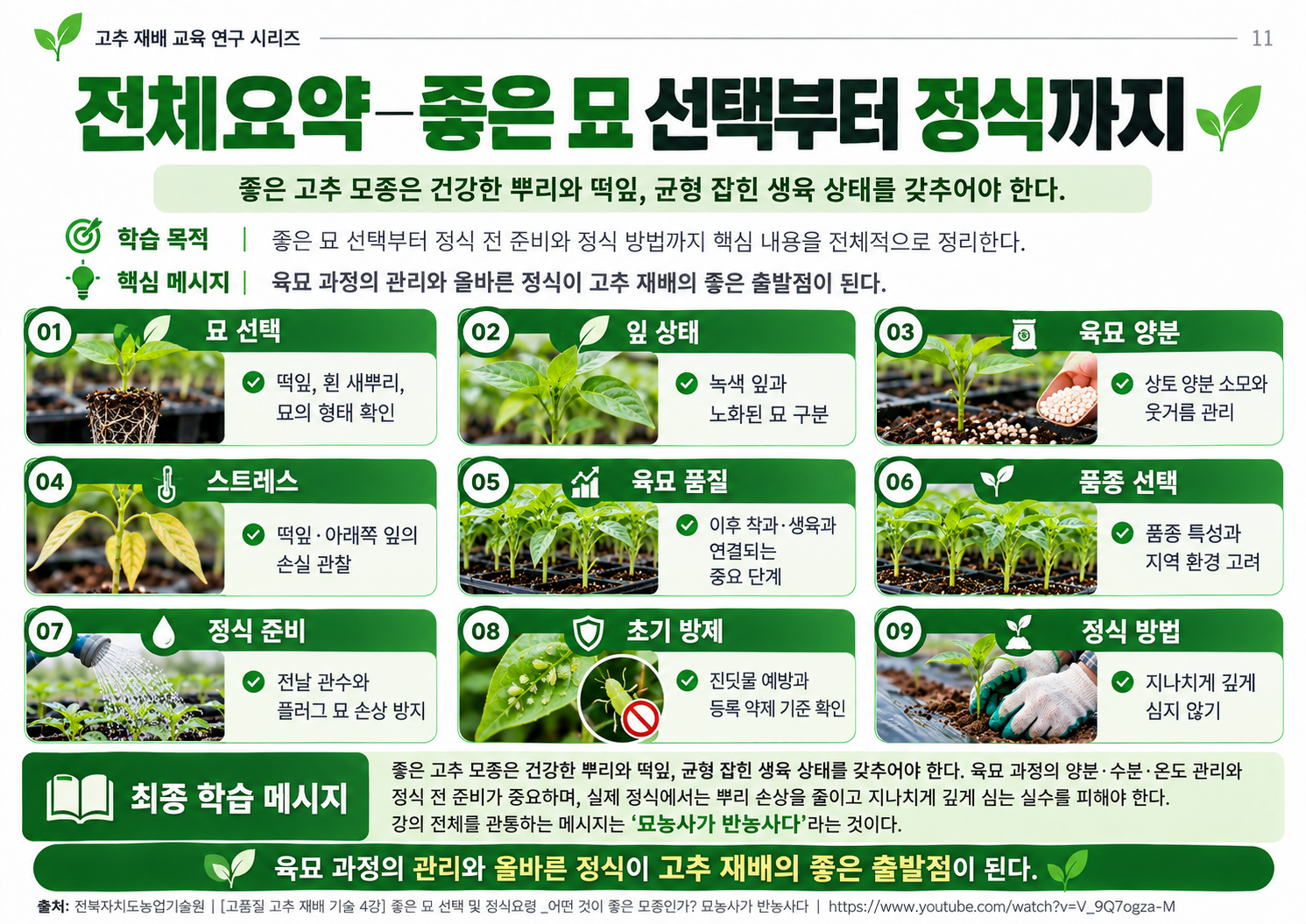 11_전체요약_좋은묘부터정식까지.png