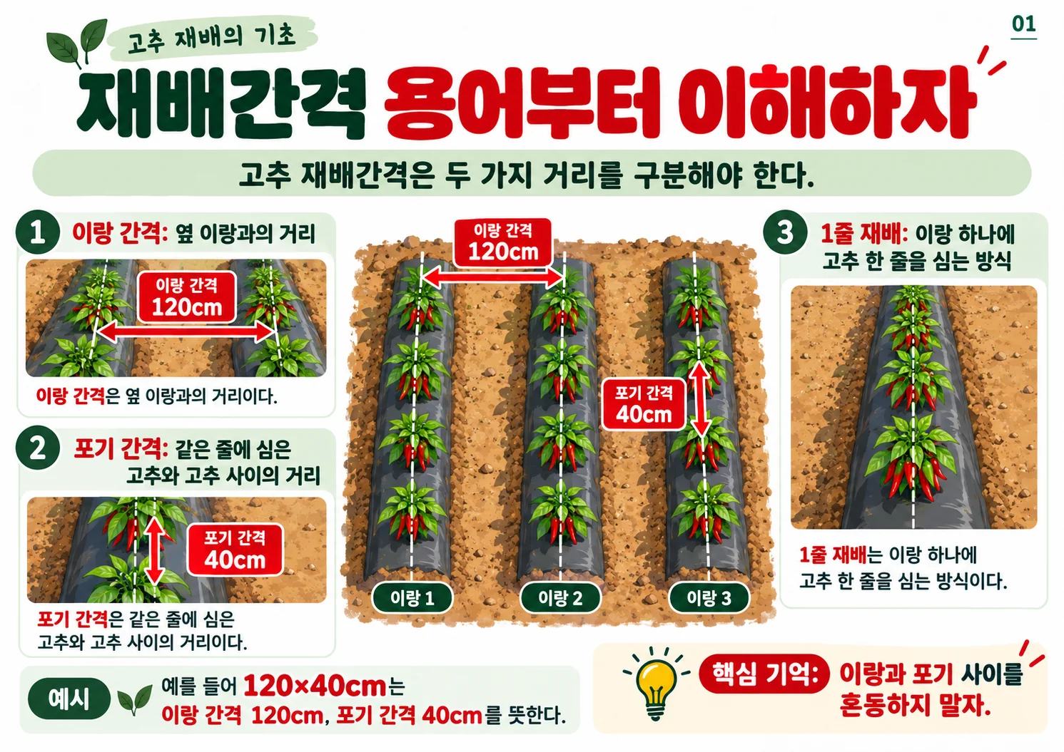 01.webp