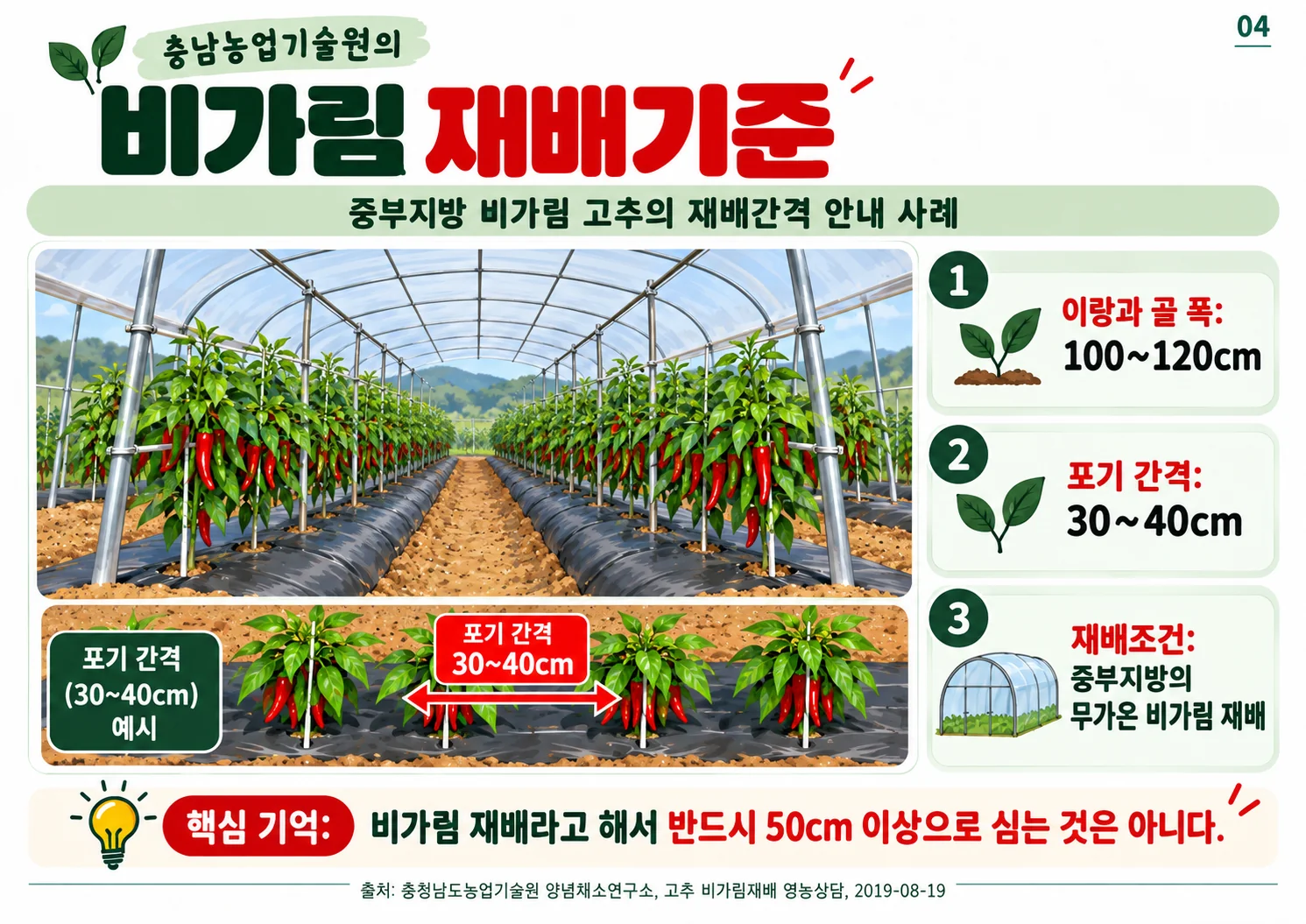 04.webp