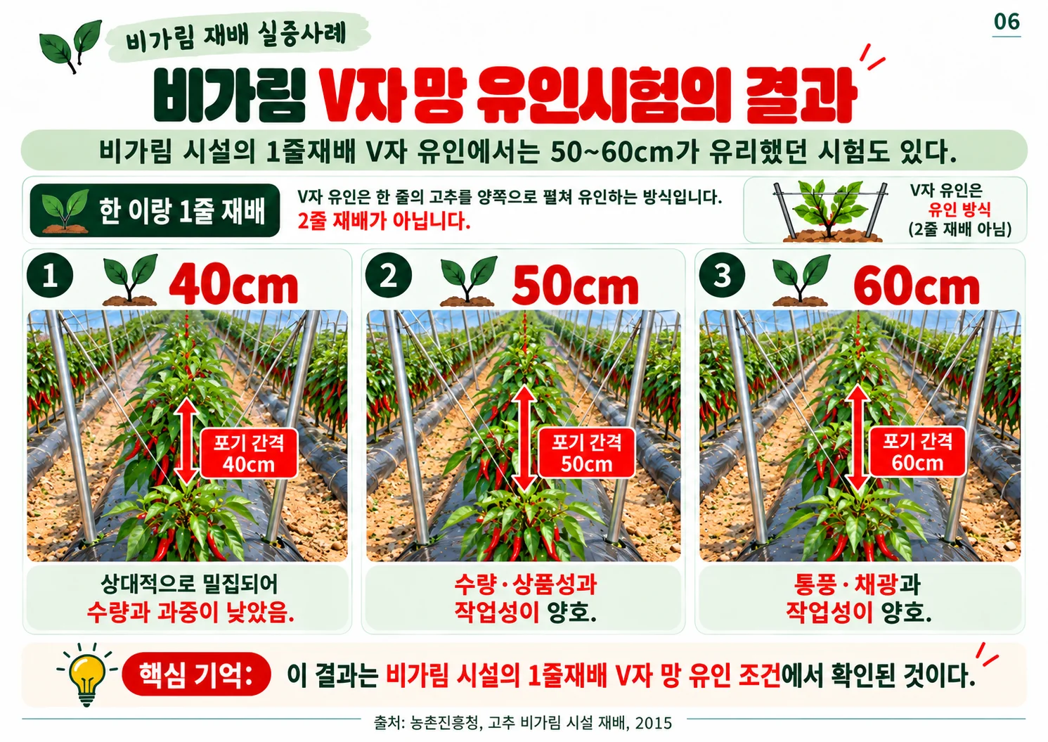 06.webp