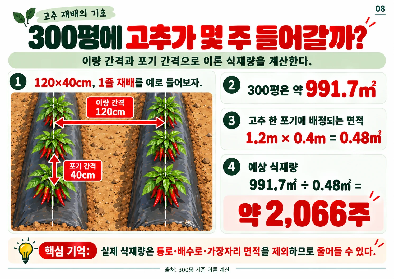 08.webp