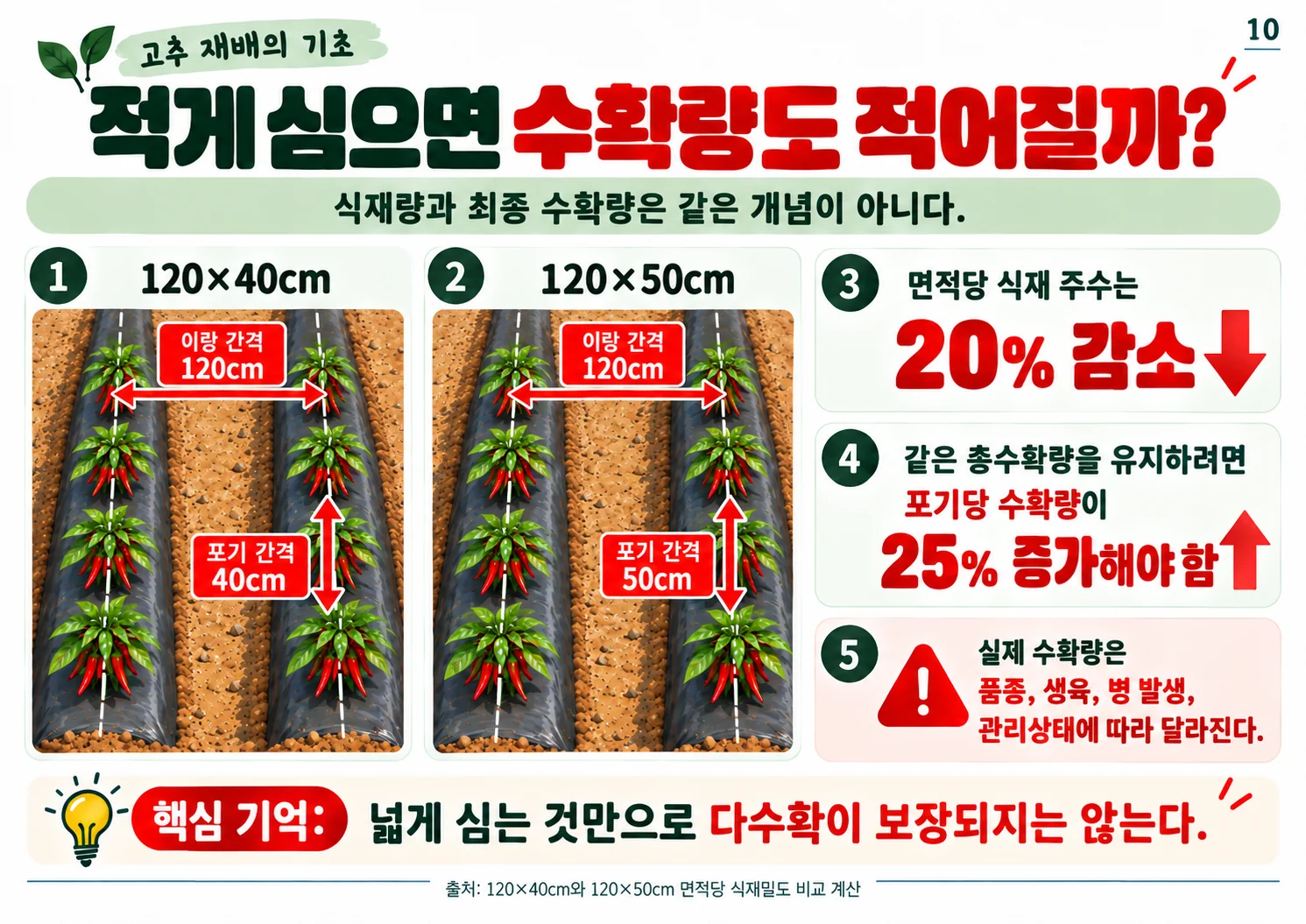 10.webp