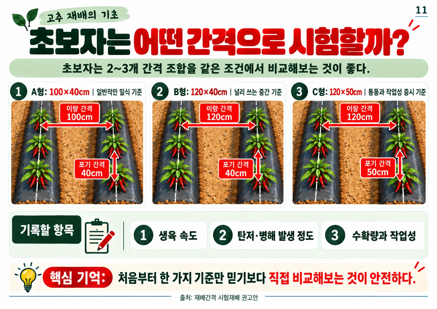 11.webp