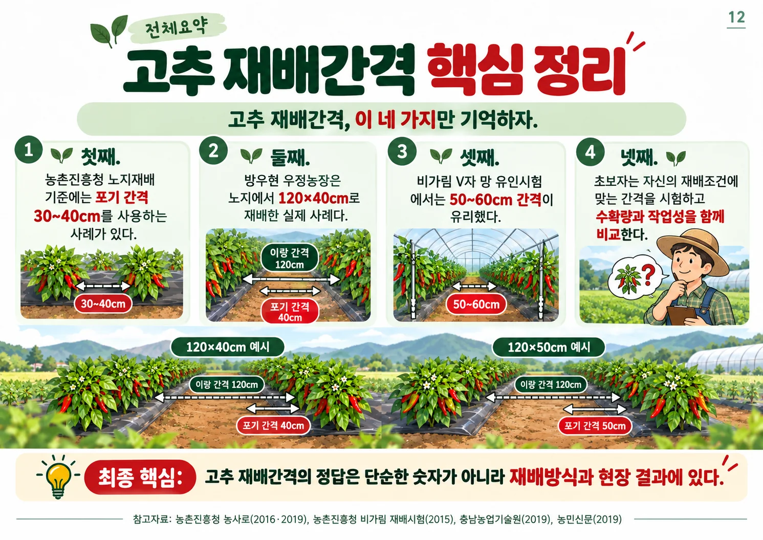 12.webp