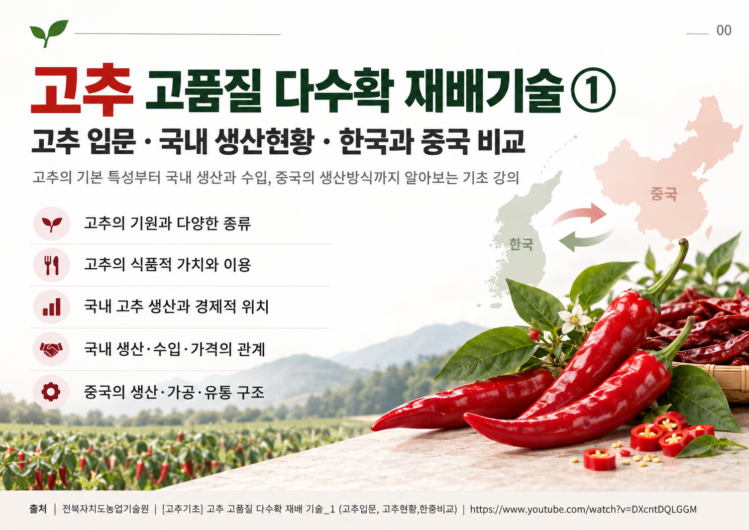 00_표지.png
