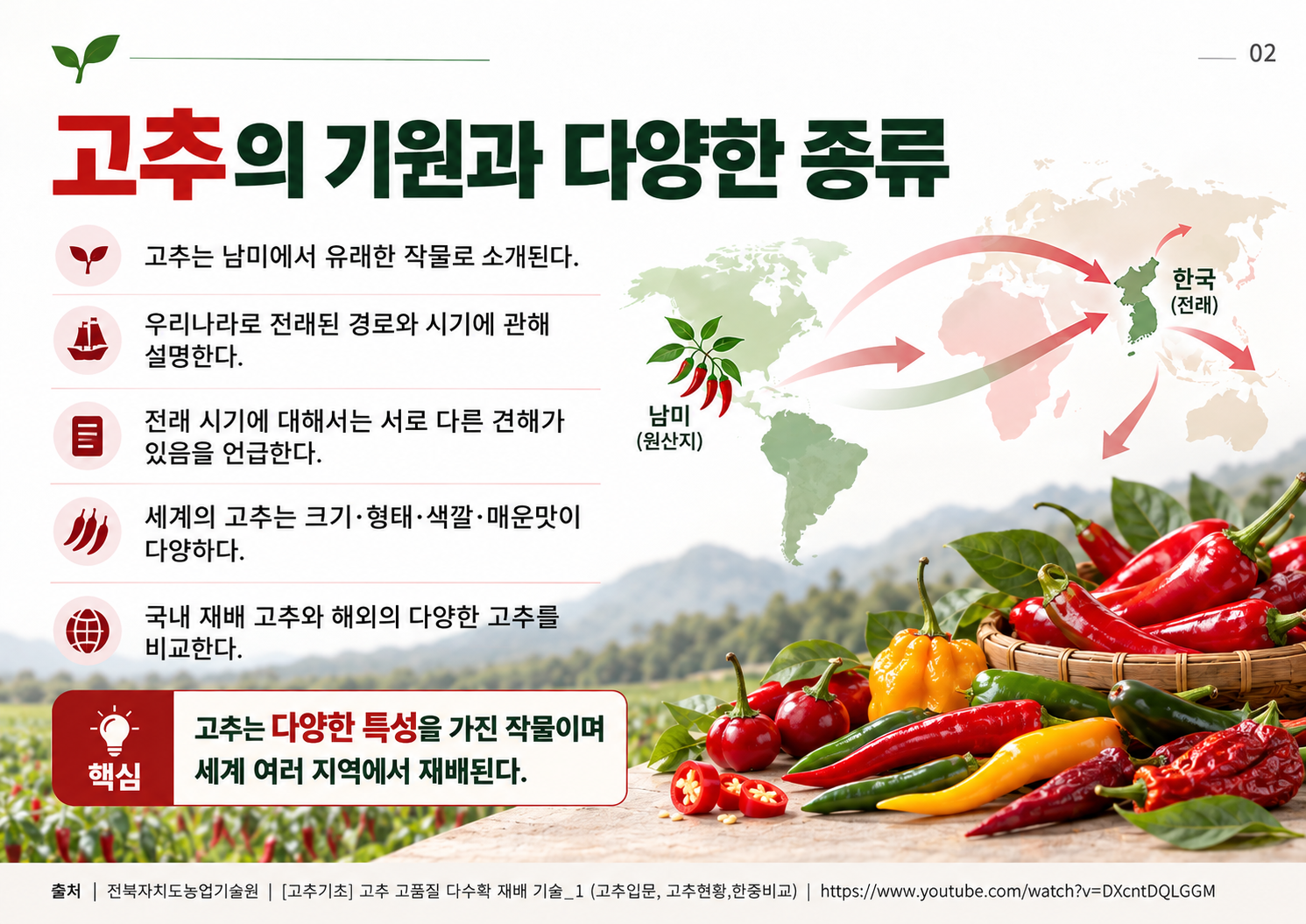 02_고추의_기원과_다양한_종류.png