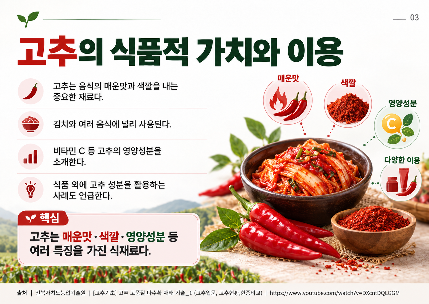 03_고추의_식품적_가치와_이용.png