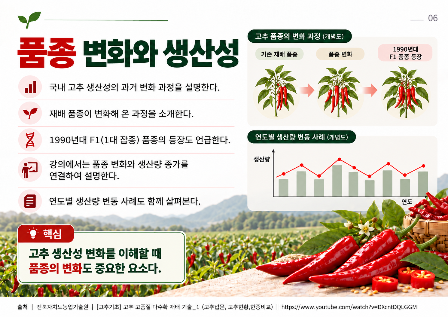 06_품종_변화와_생산성.png