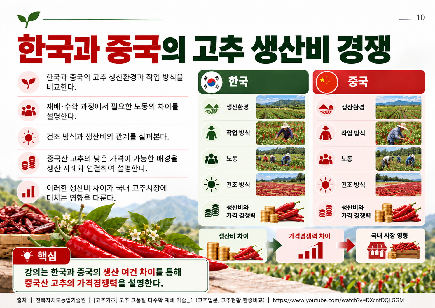 10_한중_고추_생산비_경쟁.png