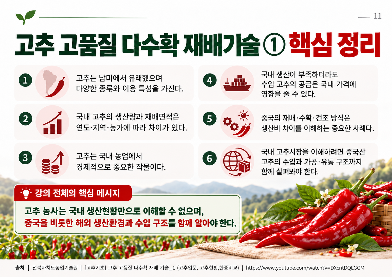 11_전체요약.png