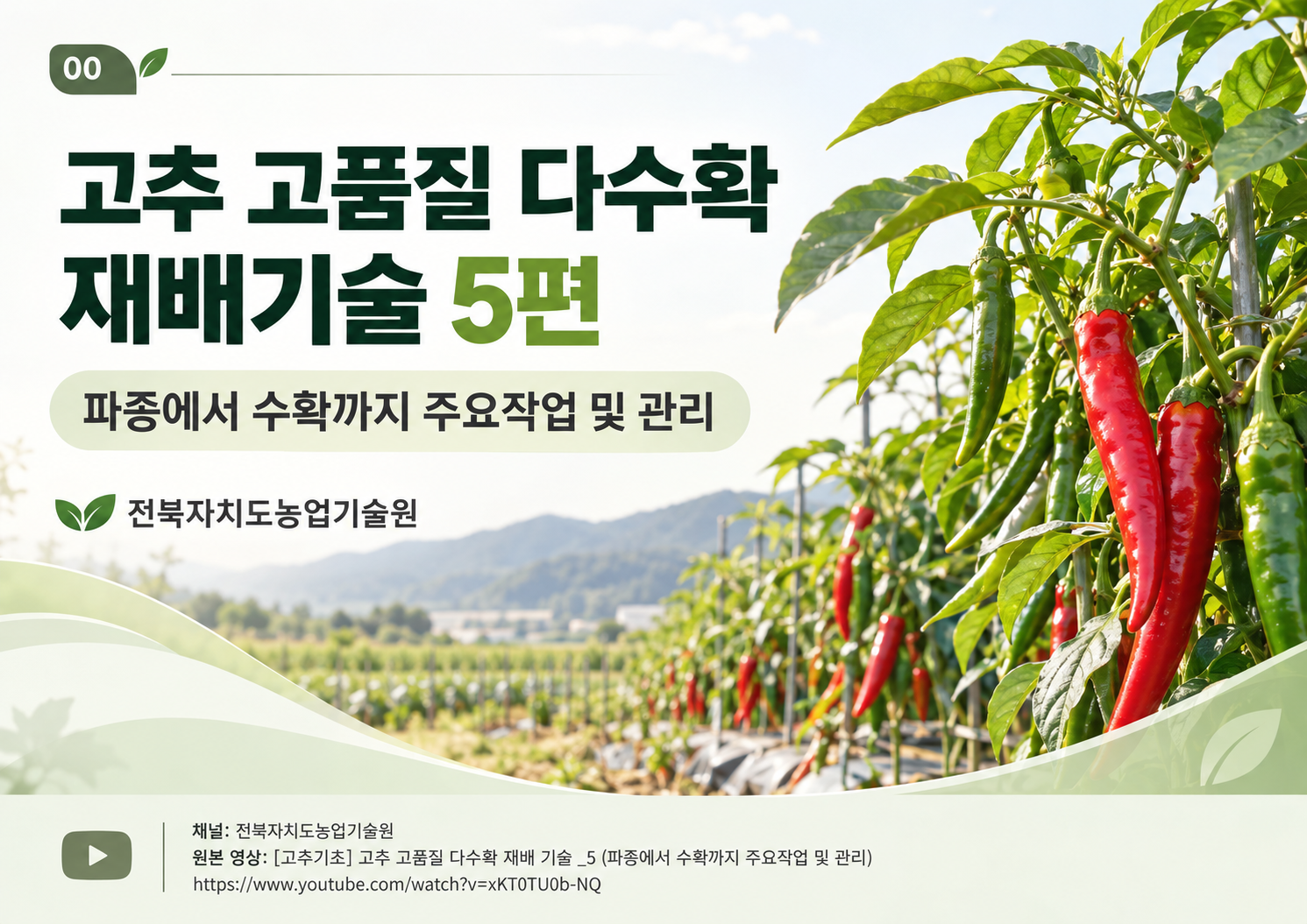 00_표지.png