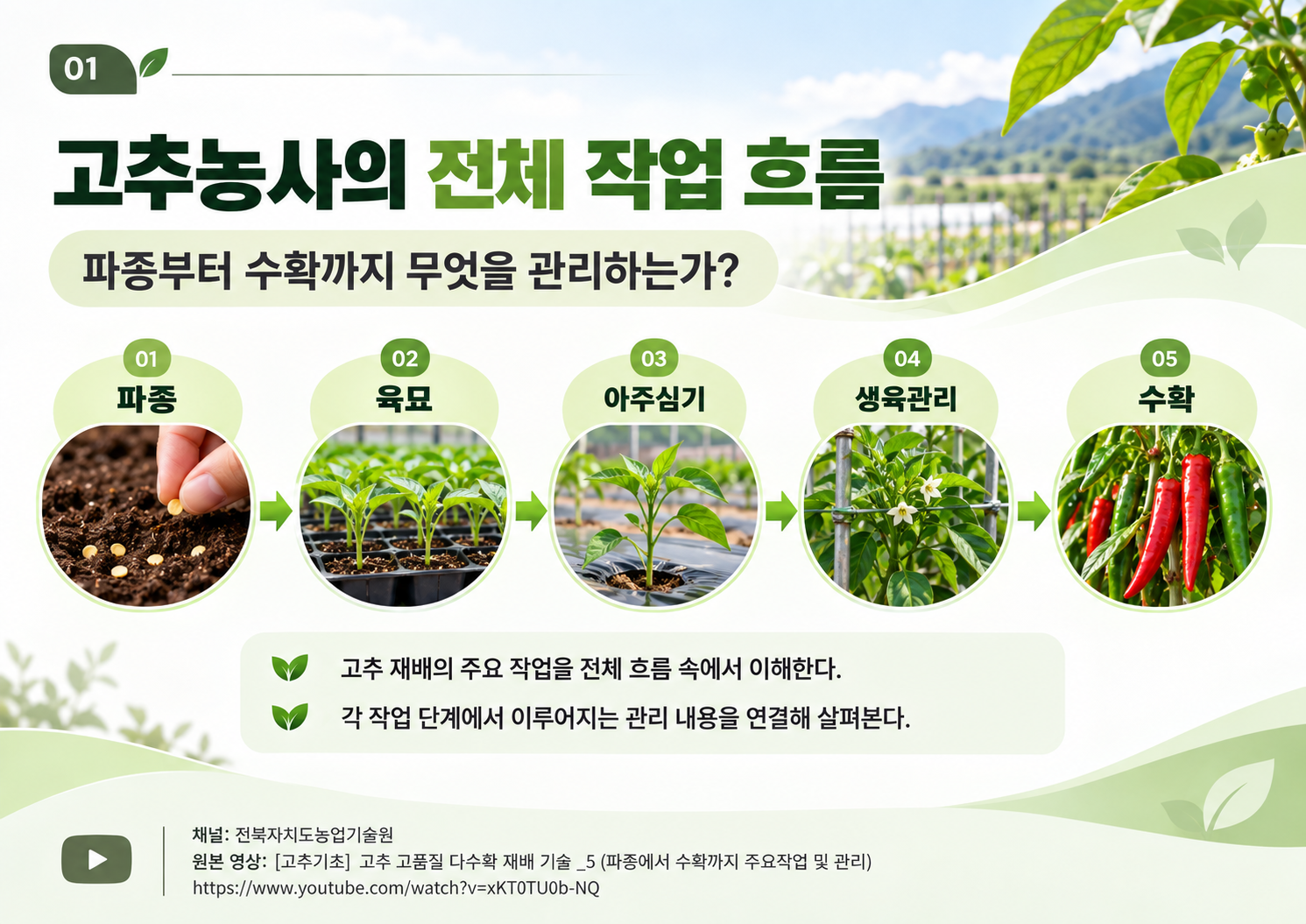 01_전체작업흐름.png