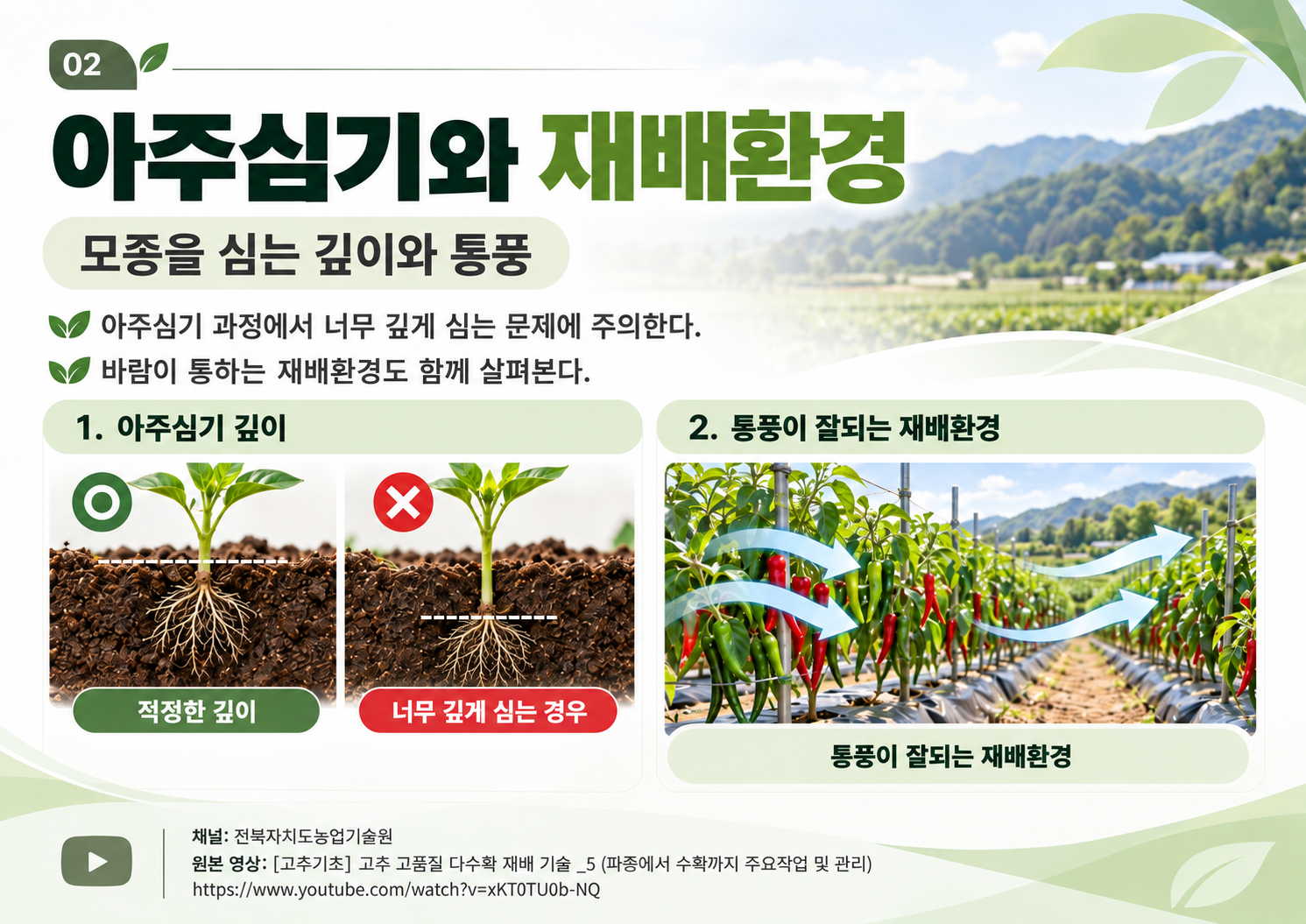 02_아주심기_재배환경.png