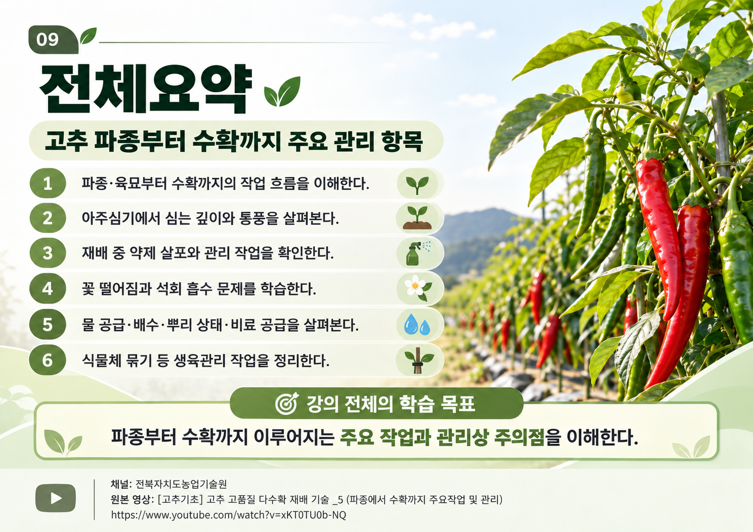 09_전체요약.png