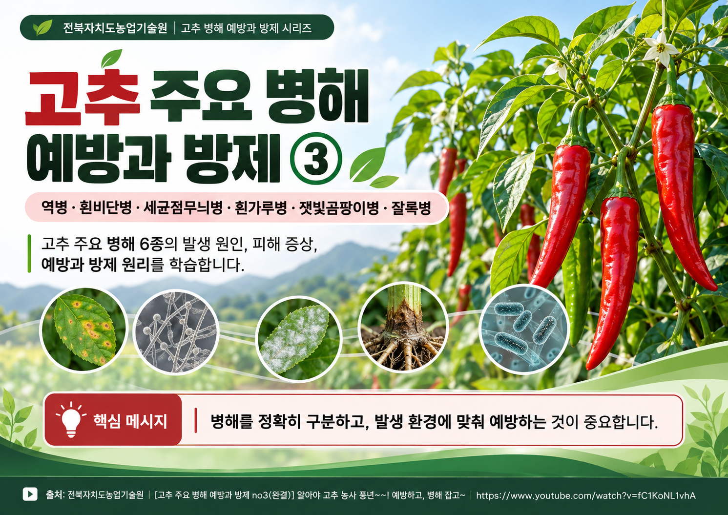 00_표지.png