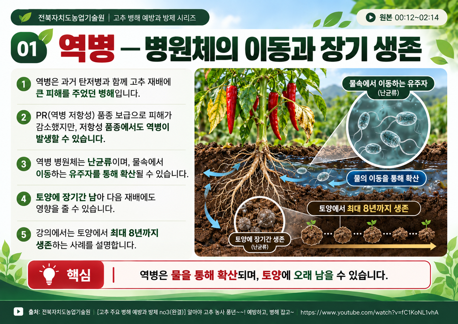 01_역병_병원체_이동과_장기생존.png