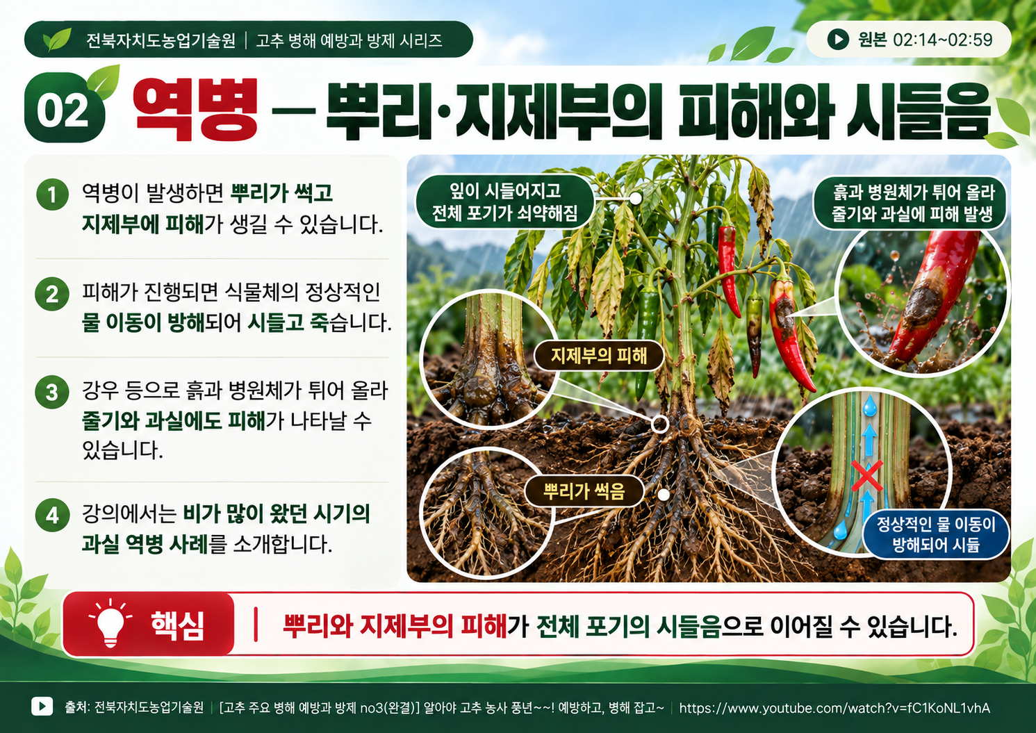 02_역병_뿌리_지제부_시들음.png