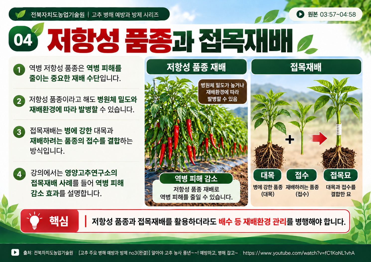 04_저항성품종과_접목재배.png