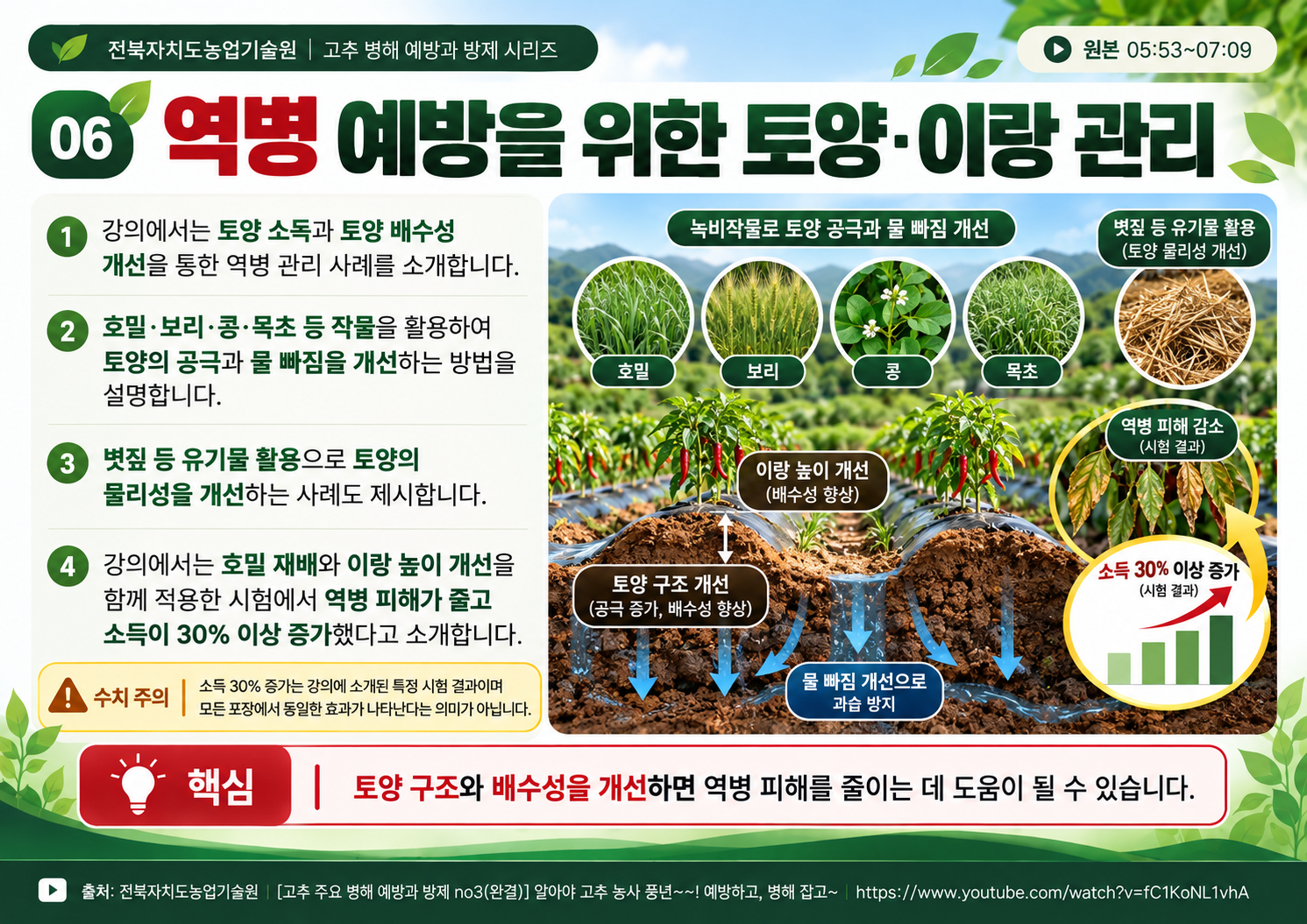 06_역병_토양과_이랑관리.png
