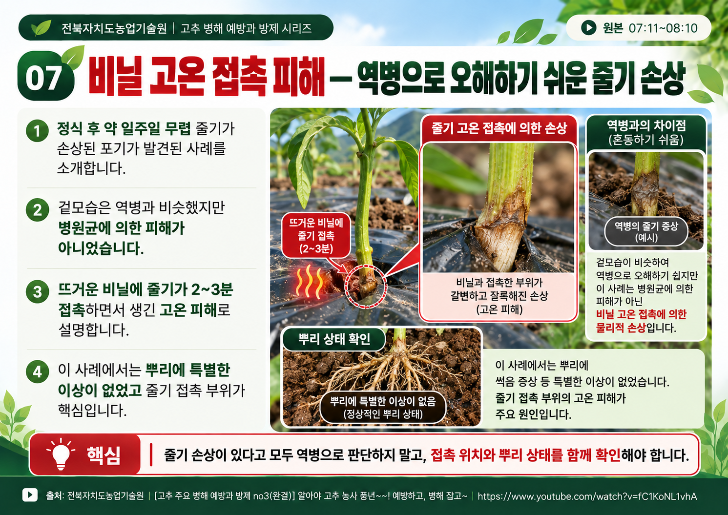 07_비닐고온접촉피해_역병감별.png