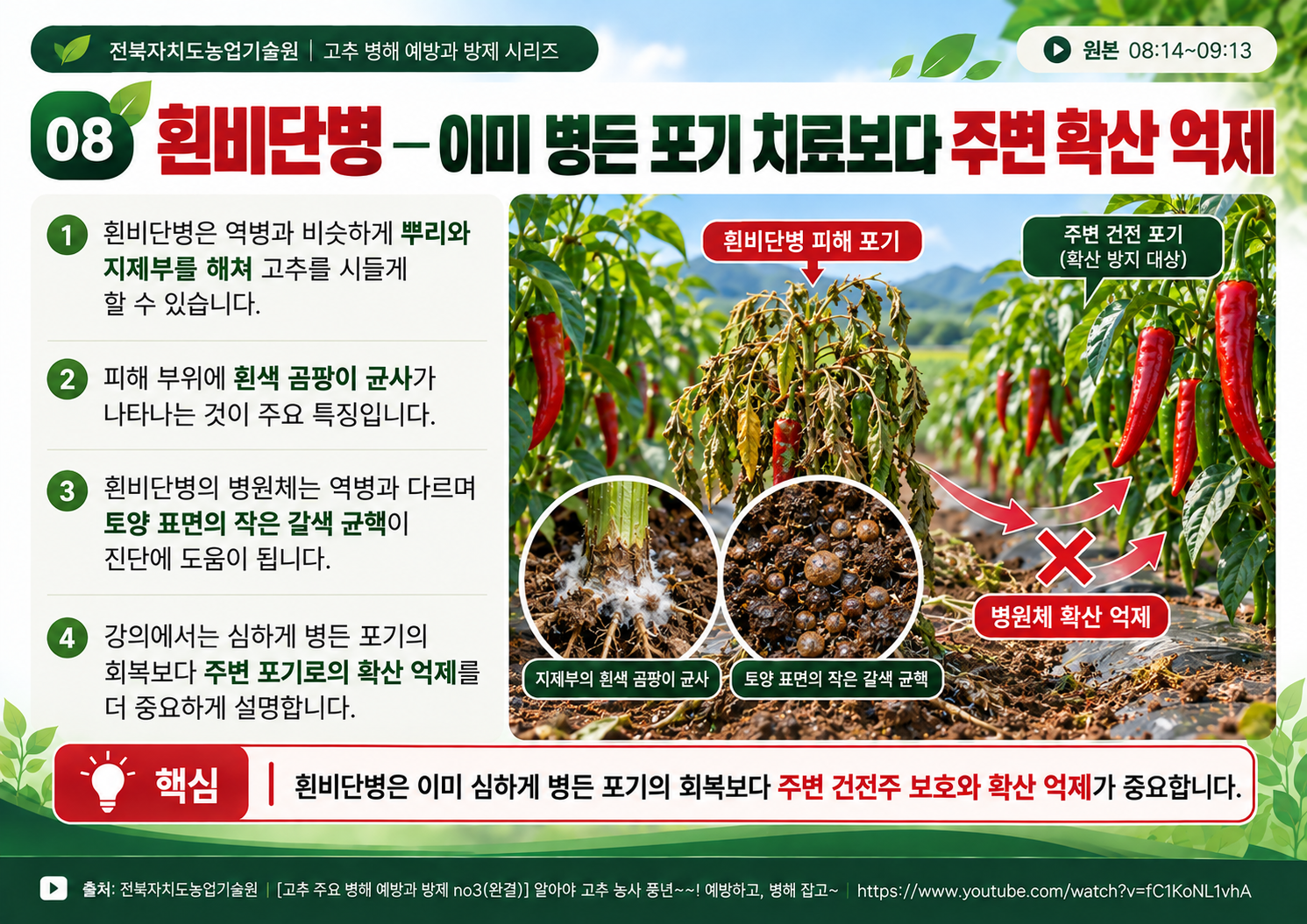 08_흰비단병_주변확산억제.png