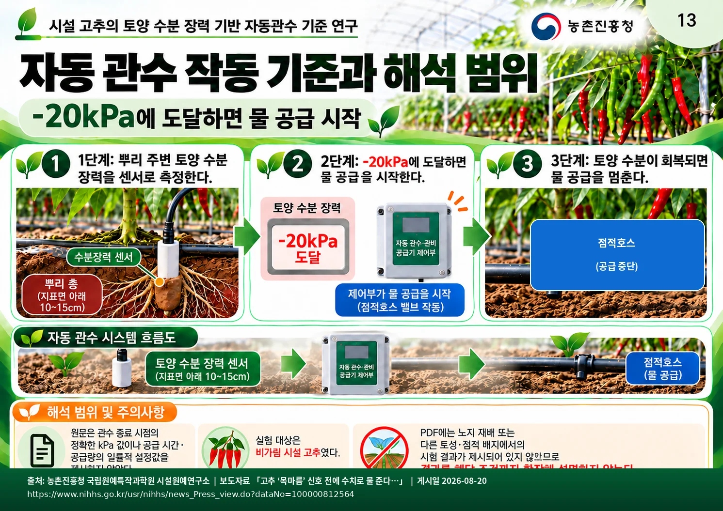 13.webp