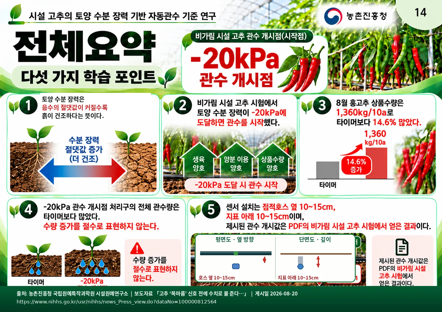 14.webp