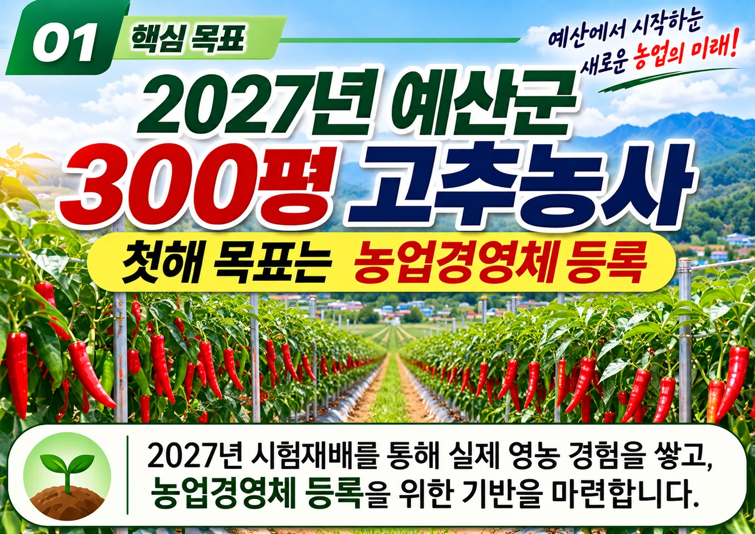 01_300평_고추농사_첫해목표.webp