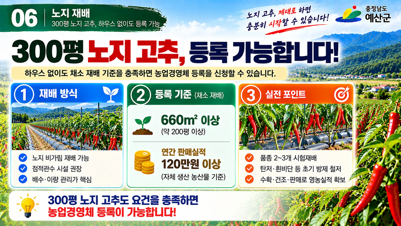 06_300평_노지고추_등록전략.webp